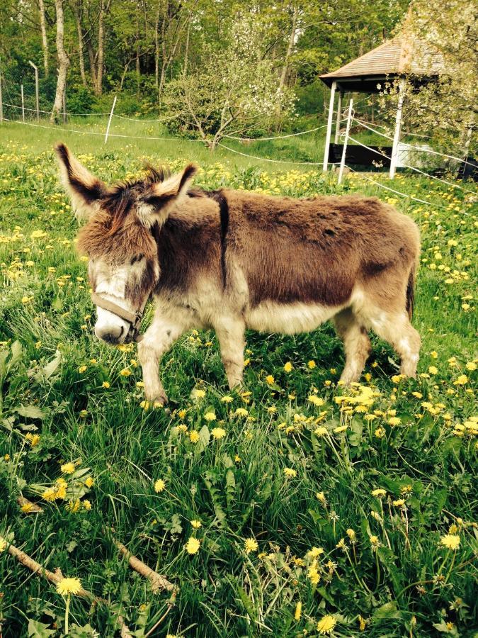 Et-Home Kungsbacka Eksteriør bilde